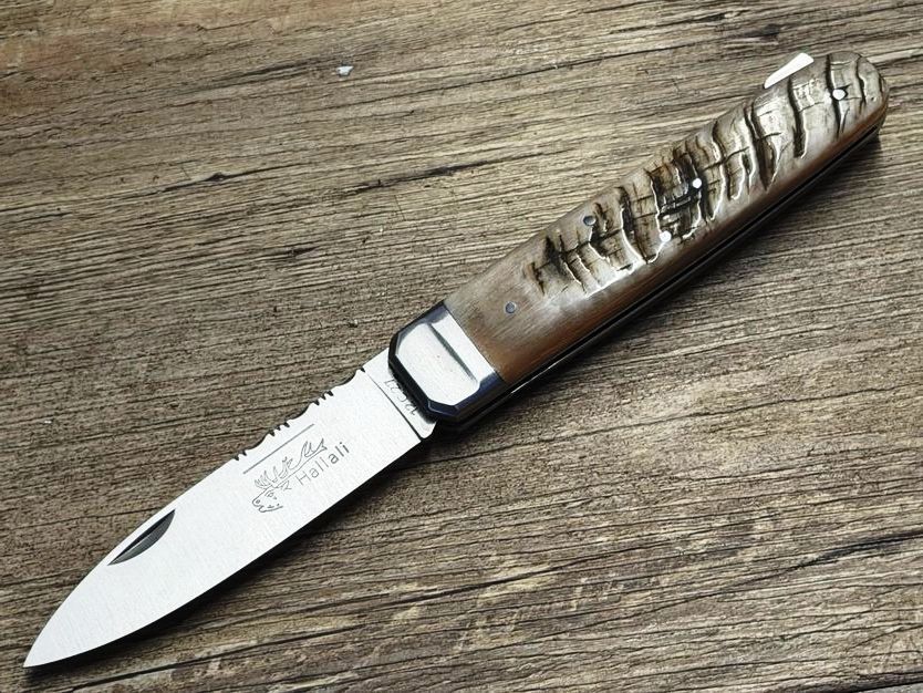 Couteau Chasse  Douris Chastel, Modell Hallali, Griff Widderhorn, schweres Jagdmesser mit Back-Lock-Verriegelung,  Coutellerie Goyon-Chazeau, Messer Nr. 2