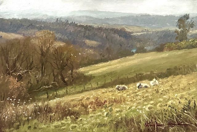 Day 26 - Study of a grey Morning