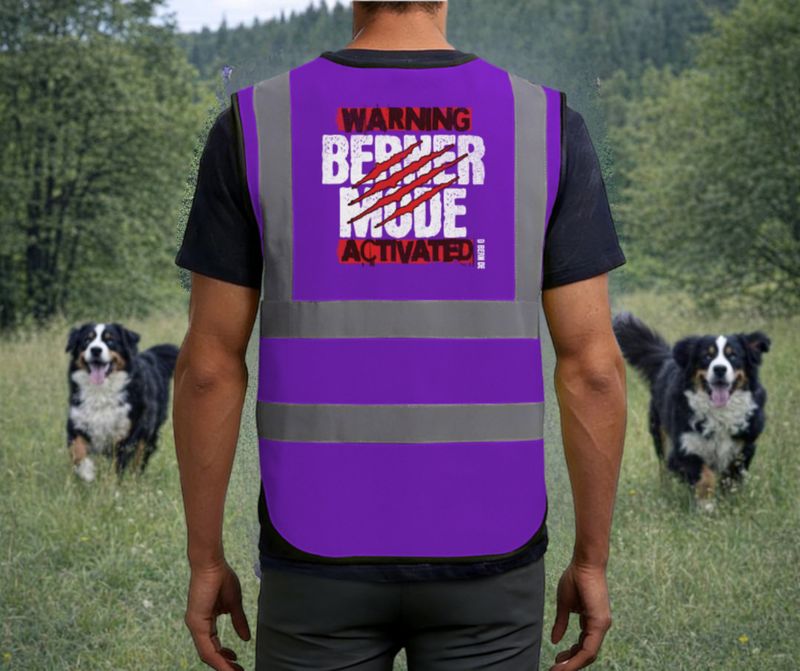 D Bern Designe Reflective Safety Vest / 5 colors