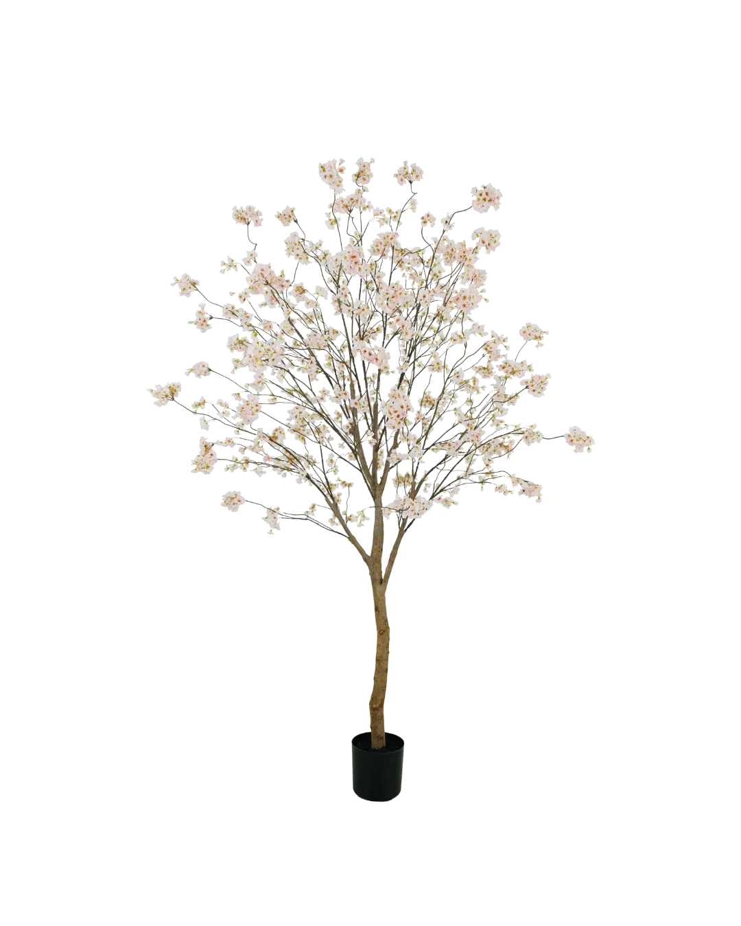 Bloesemboom 180cm