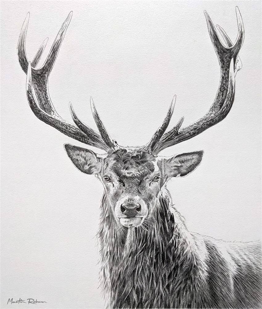 The Highland Sovereign - Study