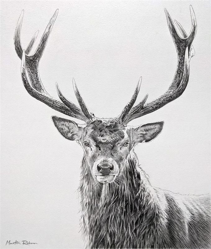 The Highland Sovereign - Study