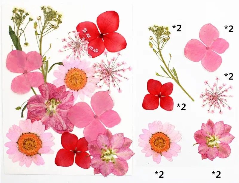 Kuivakukkasetti – vaaleanpunainen (resin-/askartelukäyttöön)