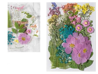 Dry Flower Set Prässätyt kuivakukat hartsitöihin – 4 eri vaihtoehtoa