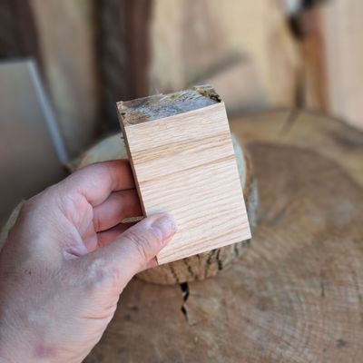 Small ash blank