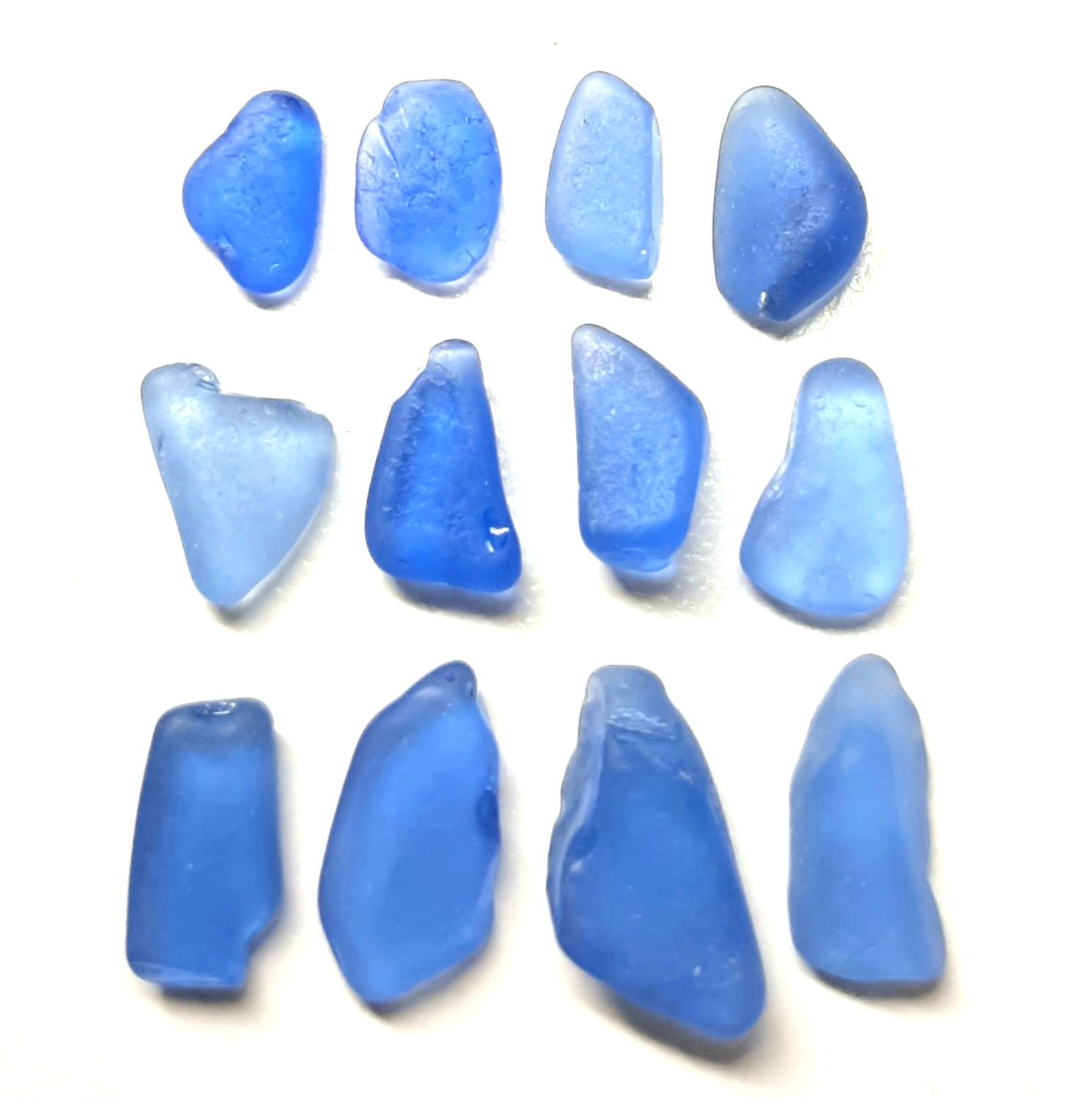 Nova Scotia's Blues -12pcs Nova Scotia's Blues -12pcs