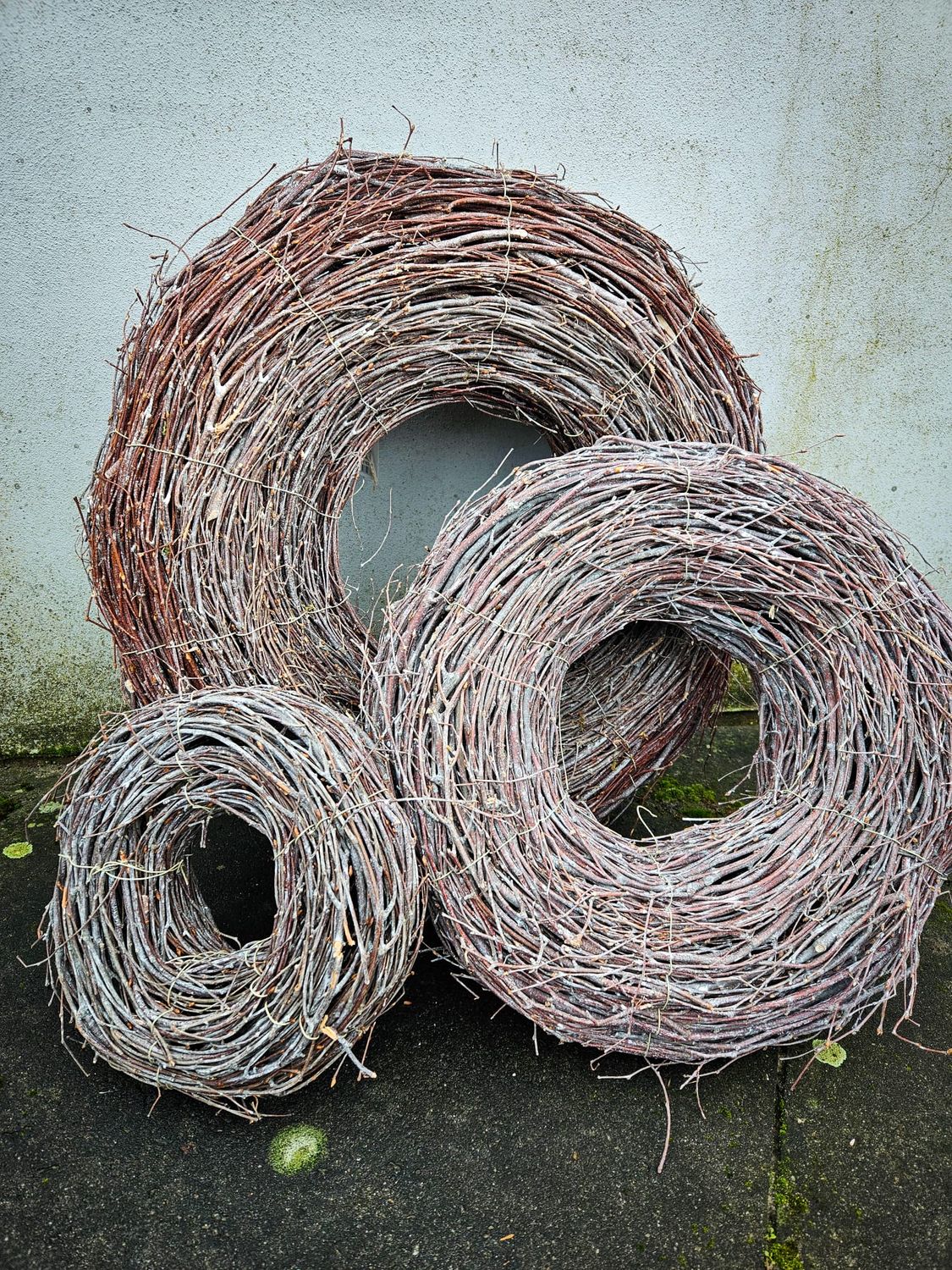 Berken Krans White Wash