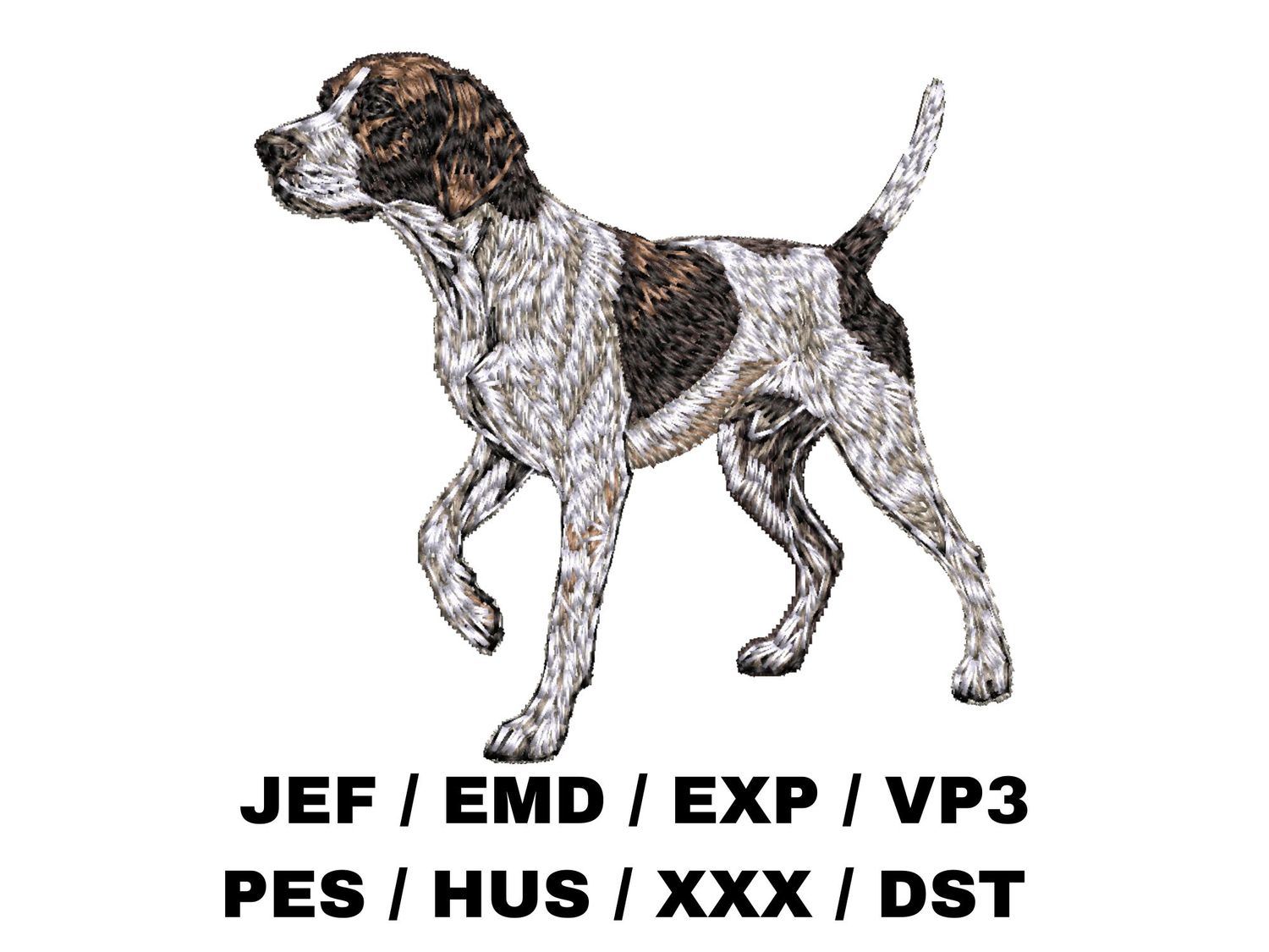 English Pointer 2 - Full Body