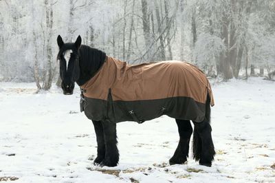 Decken mit Fleece
