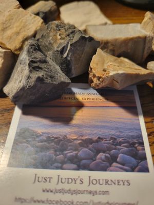 Crystal Rough Petrified Wood (10 Pieces!!) Value $45+