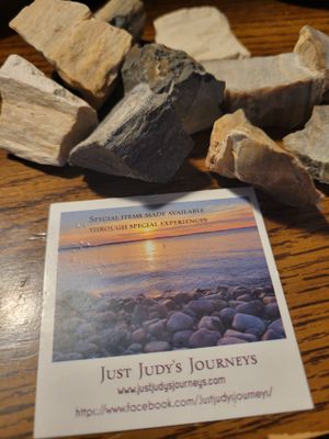 Crystal Rough Petrified Wood (10 Pieces!!) Value $45+