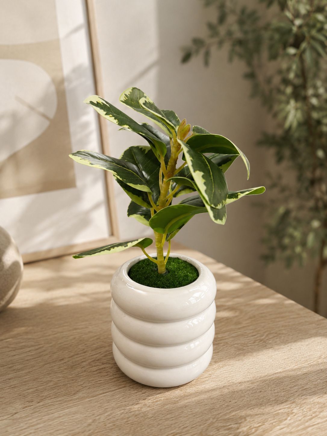 PLANTA EN MACETA CERAMICA ONDULADA