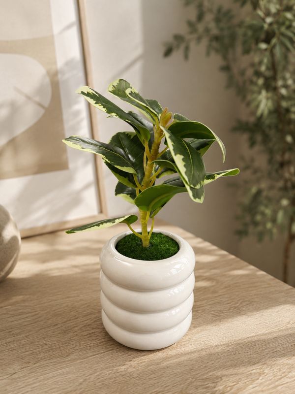 PLANTA EN MACETA CERAMICA ONDULADA