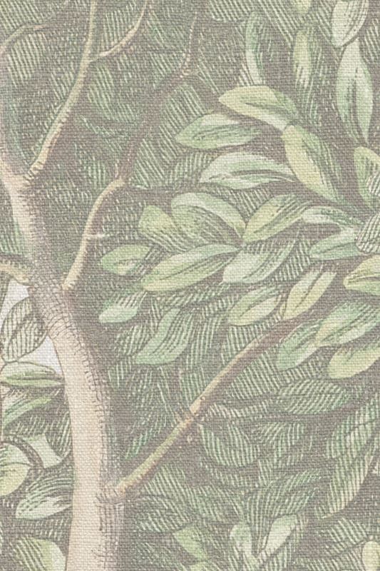 Charles, Light Green