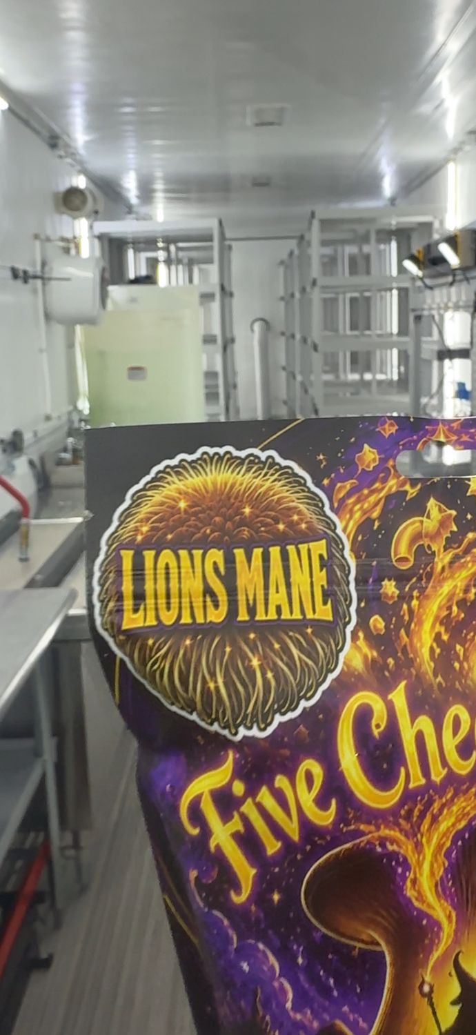 Lions Mane - Celium and Cheese