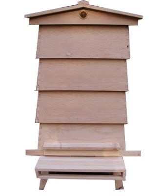 WBC 12 x 14 Brood Hive – Beginner-Optimised Traditional Design
