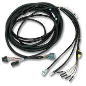 21' Main Wiring Harness