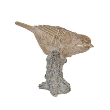 Bird Down on Branch