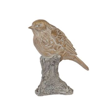 Bird Up on Branch