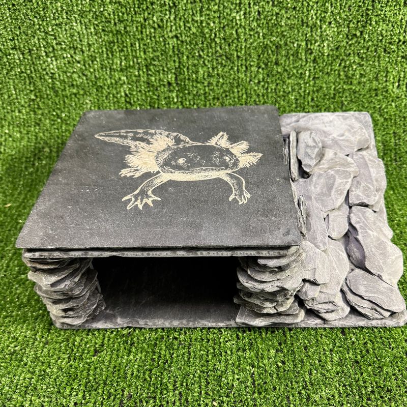 Large Axolotl  2 Laser Engraved Natural Slate Cave