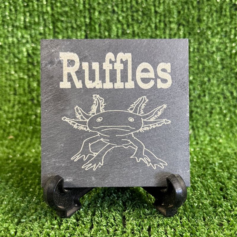 Image 7 Axolotl Laser engraved with Name