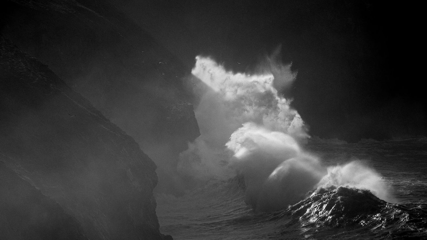 Linear Ray Linear Ray