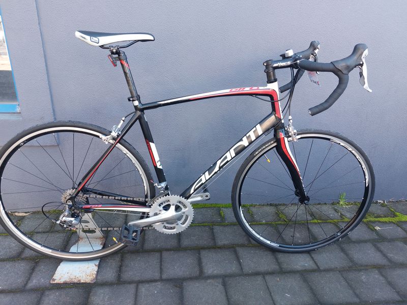 Avanti  Giro - Road - L