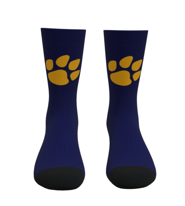 Panas Cheer - Performance Socks