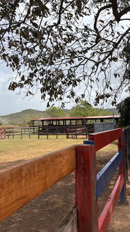 Finca Valle Alegre | Edición Especial Desafío Penonomé 2026