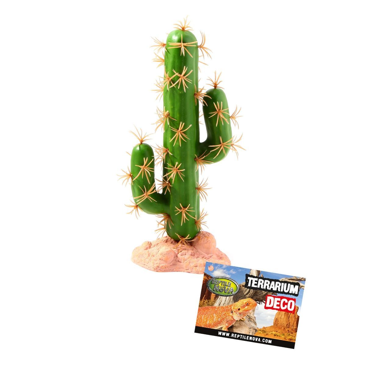 RN Cactus Staand A