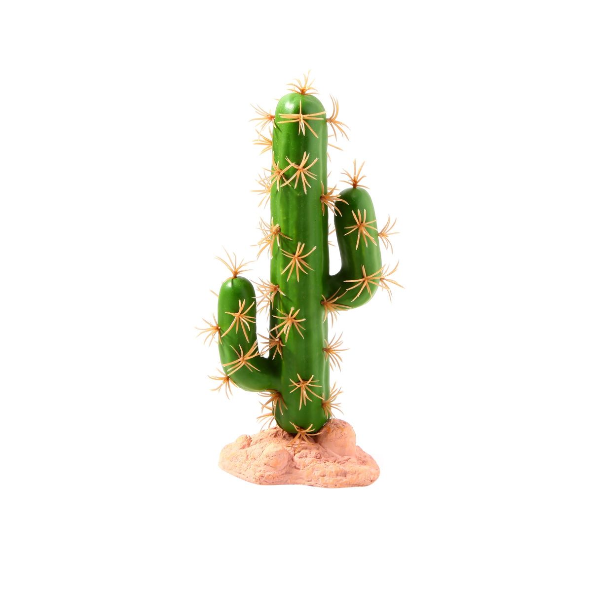 RN Cactus Staand A