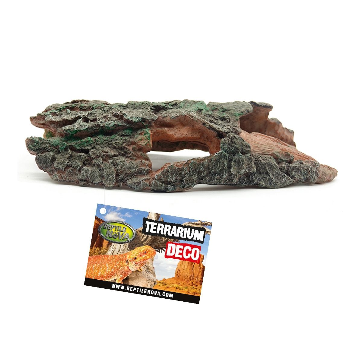 RN Grot Boomstam Large