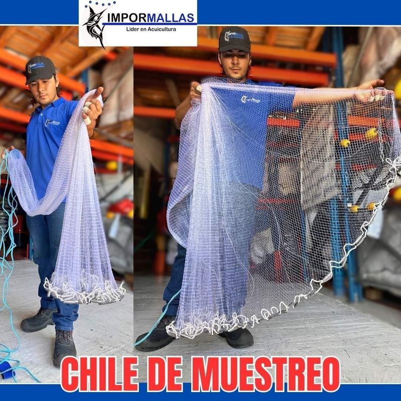 Chile para Muestreo