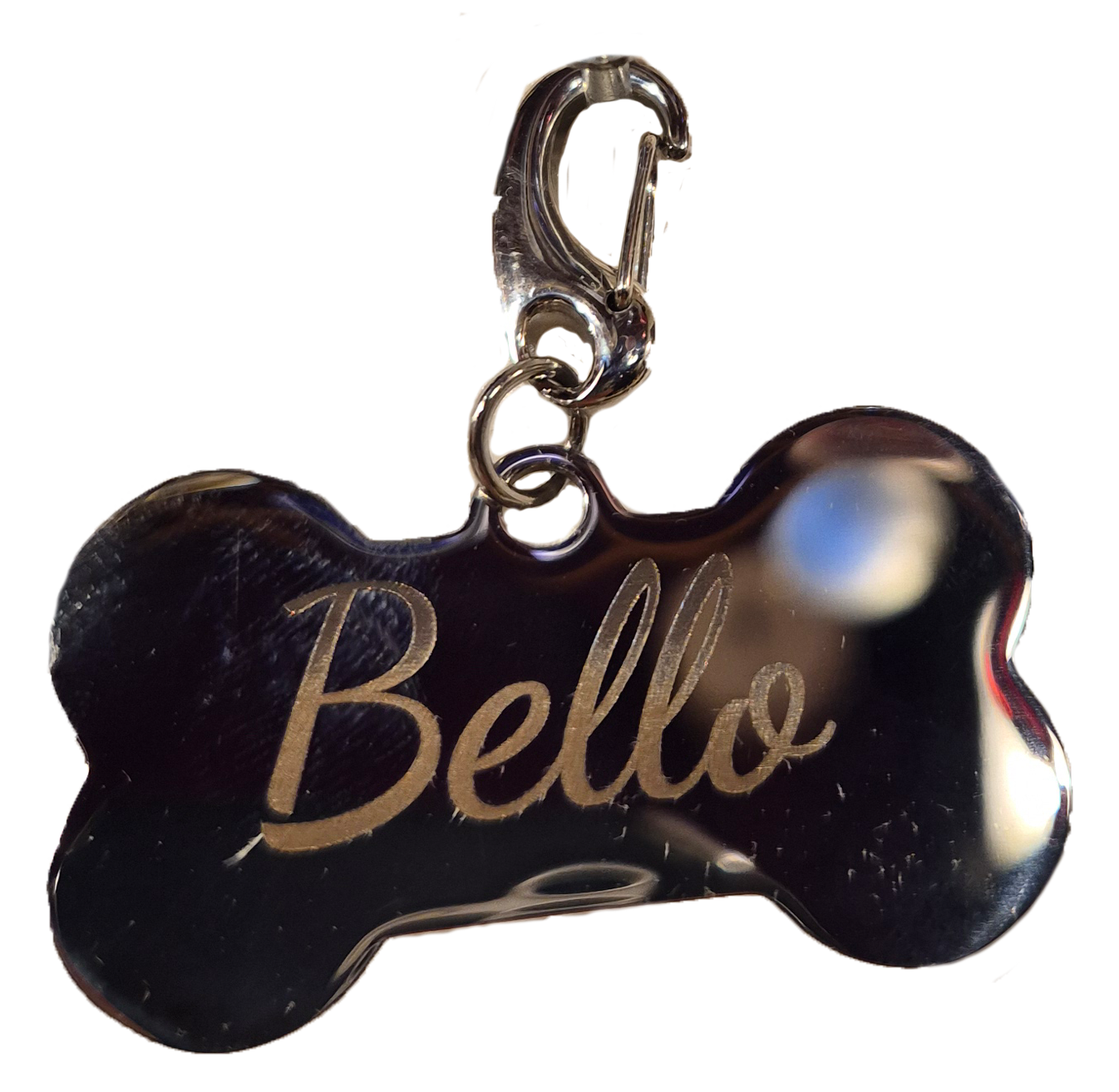 Edelstahl Hundeanhänger inkl. Laserung