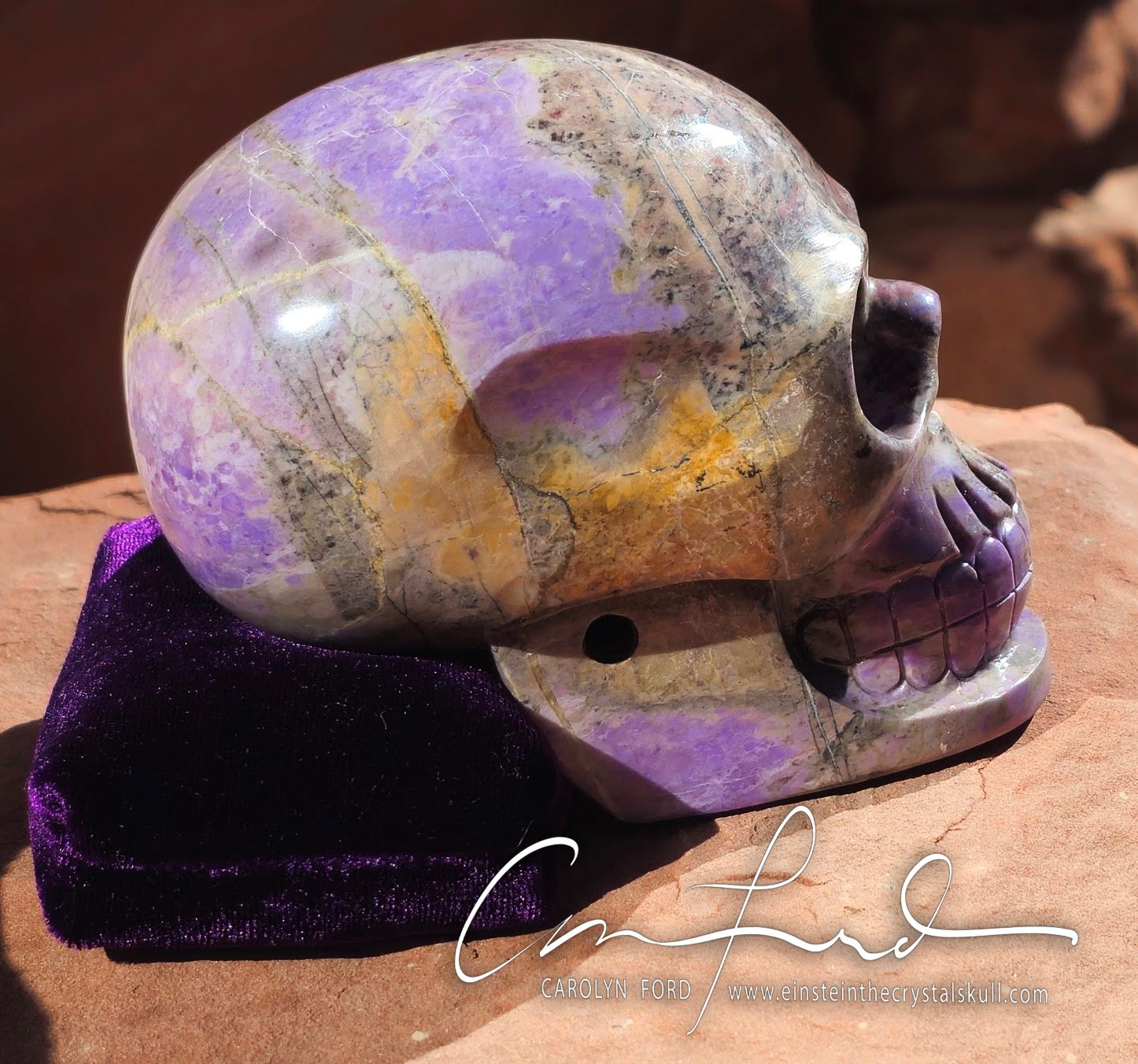 Lavender Jade Skull, Baby Einstein Imprinted ~ "VIOLET VIENNA"