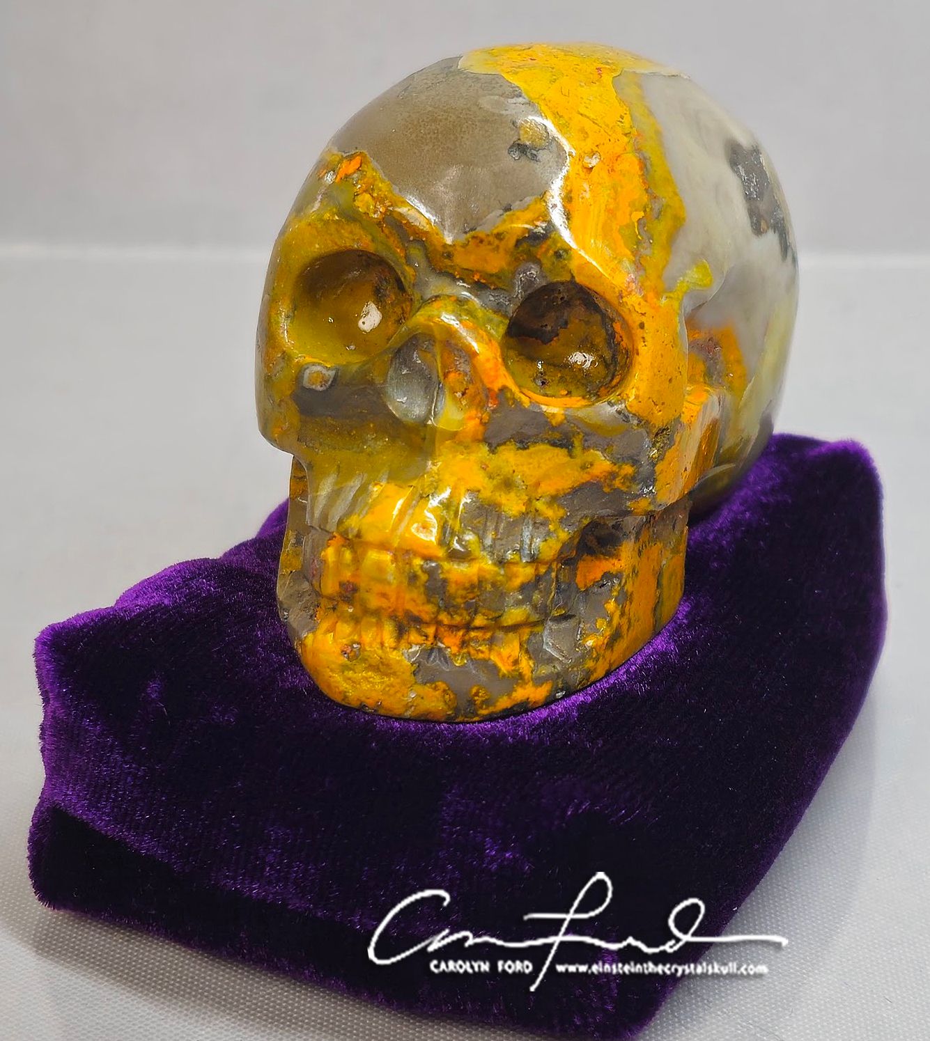 BumbleBee Jasper ~ "MAMBO", Einstein Imprinted