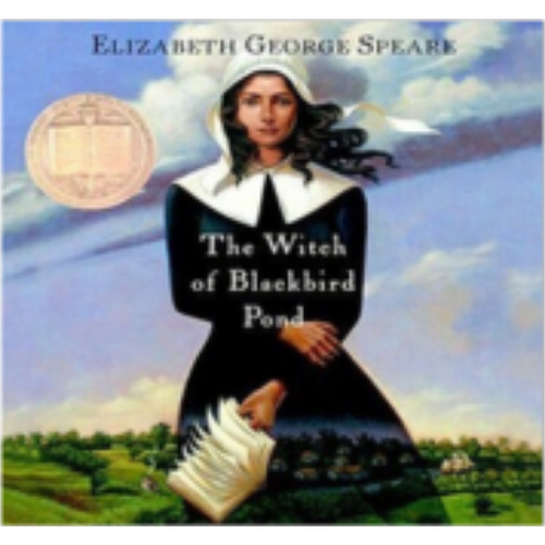 Witch of Blackbird Pond Witch of Blackbird Pond