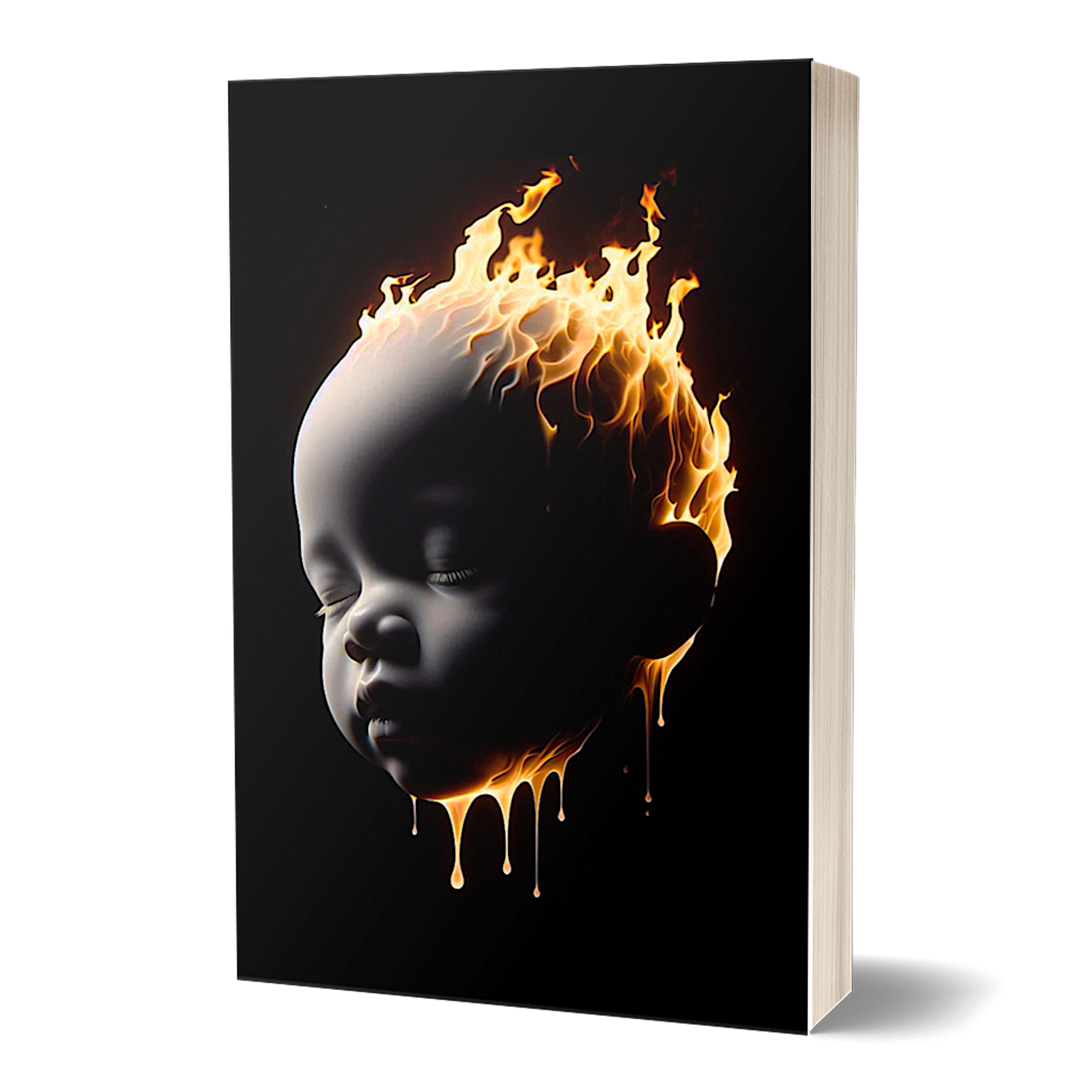 PHOENIX JAMES (Paperback Book) PHOENIX JAMES (Paperback Book)