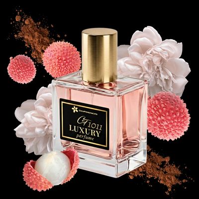 N 1011 Attrape-Reves