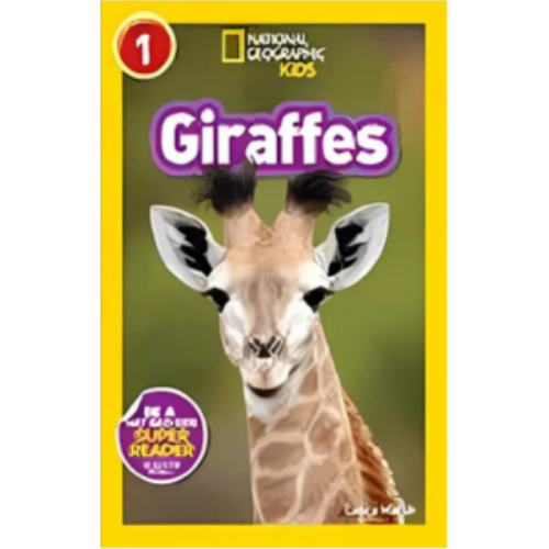Giraffes Giraffes