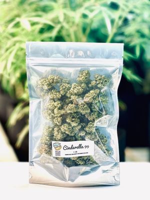 Cinderella 99 | Sativa | Gold Ounce Special
