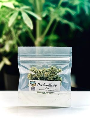 Cinderella 99 | Sativa | Gold 8th Special