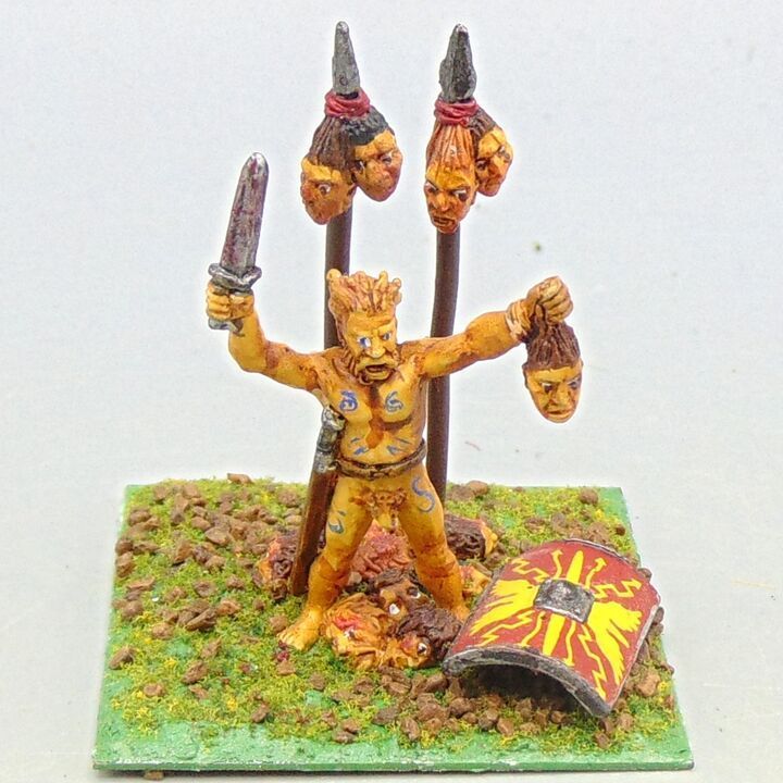 Grade D - Wargames Foundry - Celts - Pagan Priest