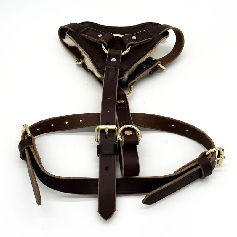 Leather Padded Harness - Brown