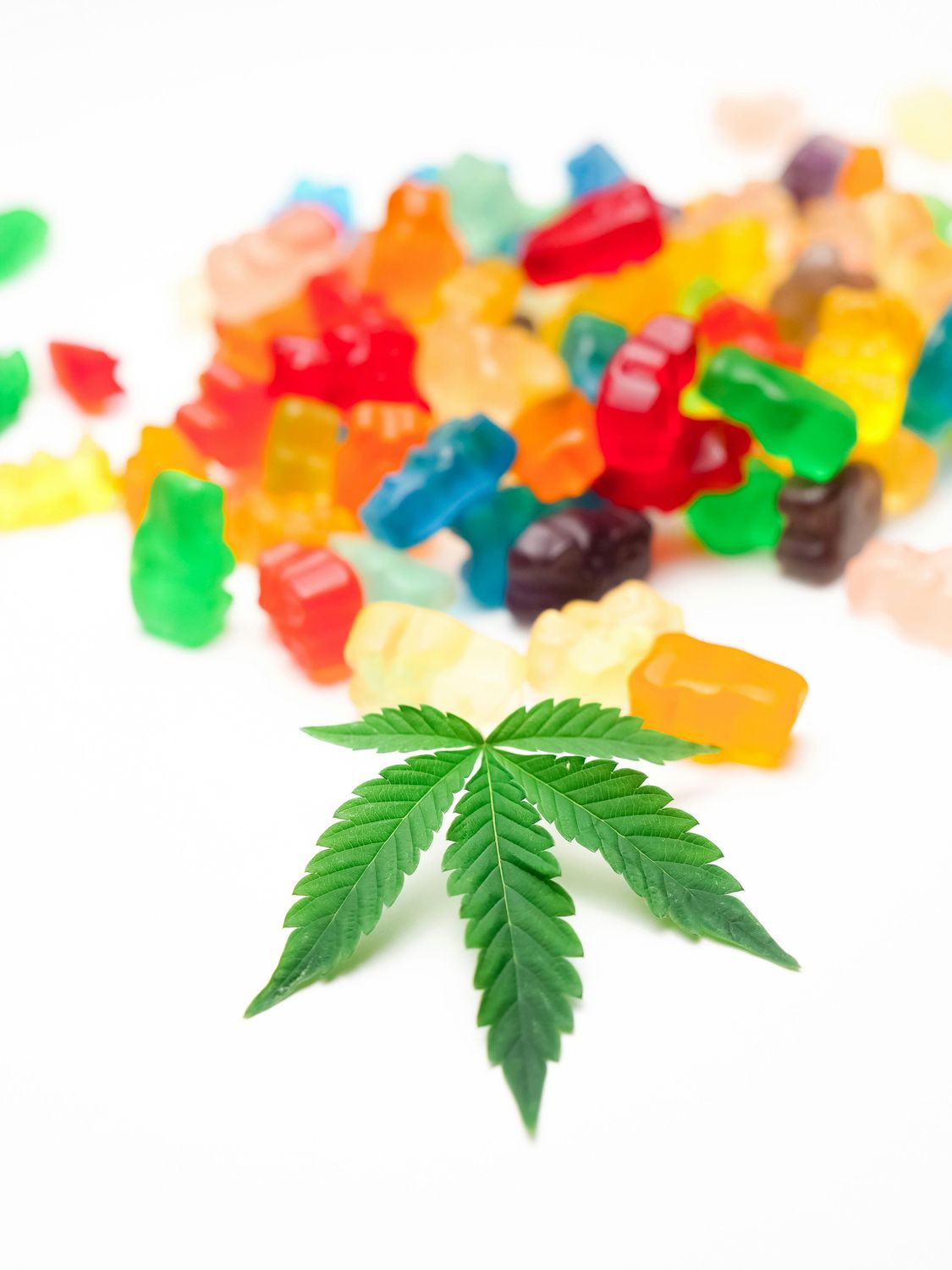 The Poison Help Guide to Edible Marijuana Safety