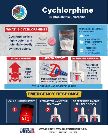 Cychlorphine Fact Sheet - DEA