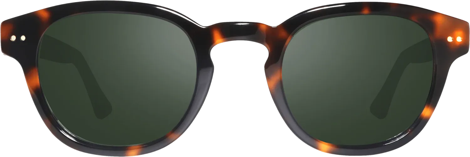 REVO STERLING G 1256 02 SG50 shiny tortoise / grey green polar occhiali