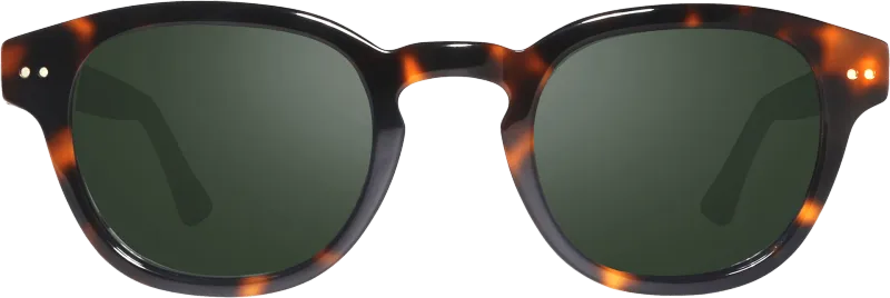 REVO STERLING G 1256 02 SG50 shiny tortoise / grey green polar occhiali REVO STERLING G 1256 02 SG50 shiny tortoise / grey green polar occhiali