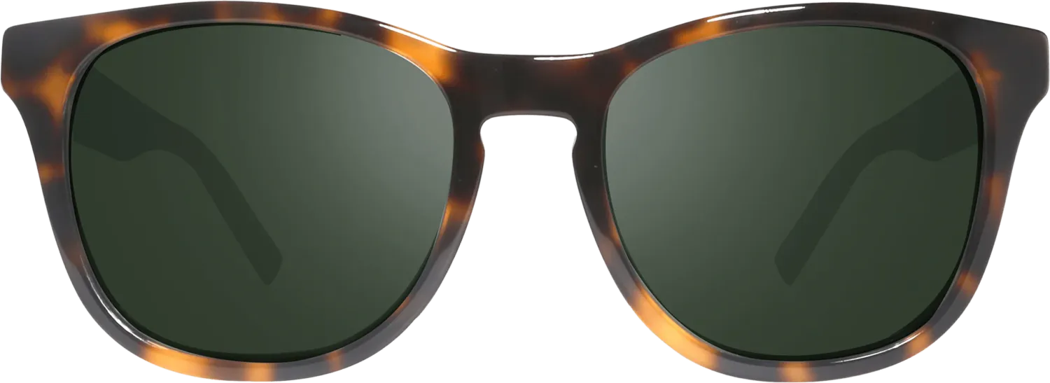 REVO TATUM RE1254 02 SG50 shiny tortoise / grey green polar occhiali