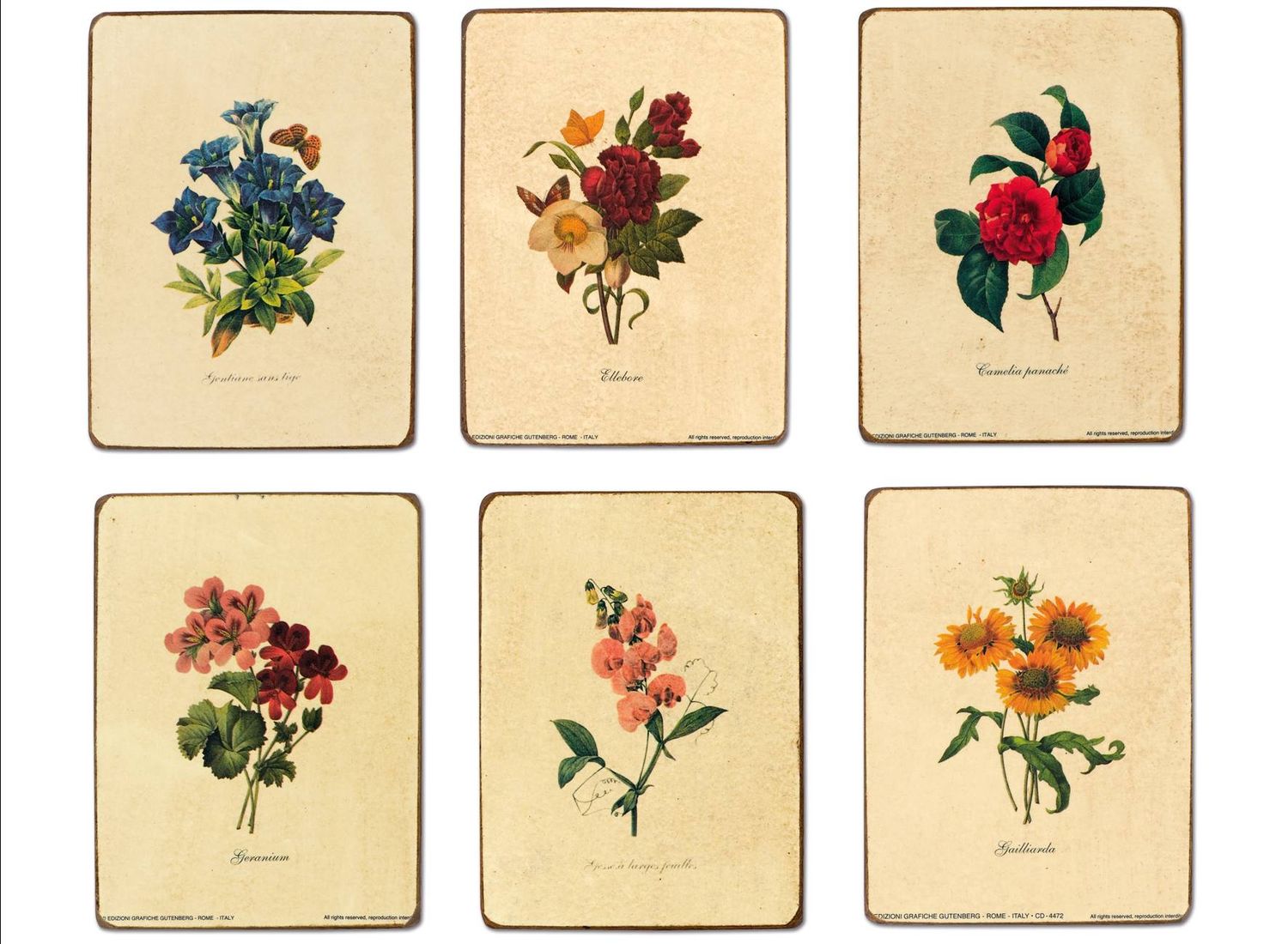 FIORI SET DI SEI PEZZI ( S000F04 ) FIORI SET DI SEI PEZZI ( S000F04 )